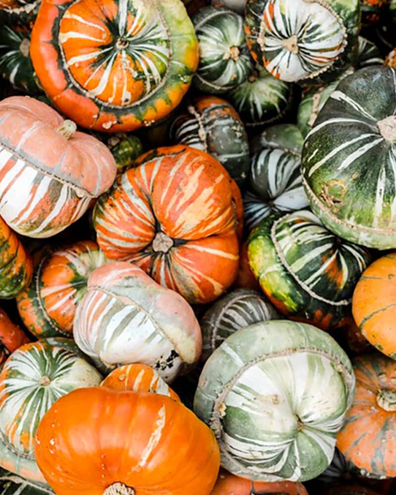 News-Der-Frühling-belebt-der-Herbst-inspiriert News-Oktoberfest-2022-im-Tanzherz-Berlin